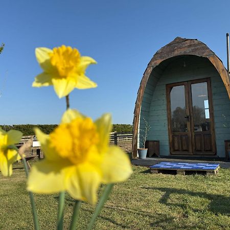 Skipbridge Farm Glamping York Esterno foto