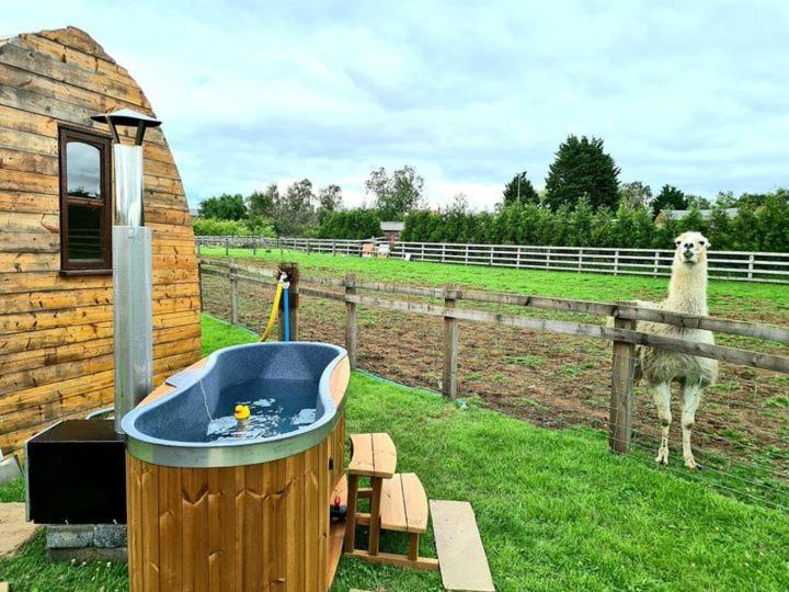 Skipbridge Farm Glamping York Esterno foto